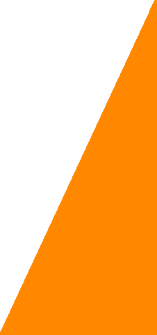 tri naranja2